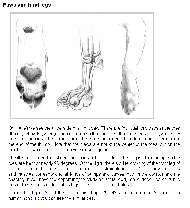 Ychan - r - anthro tutorials - 190053