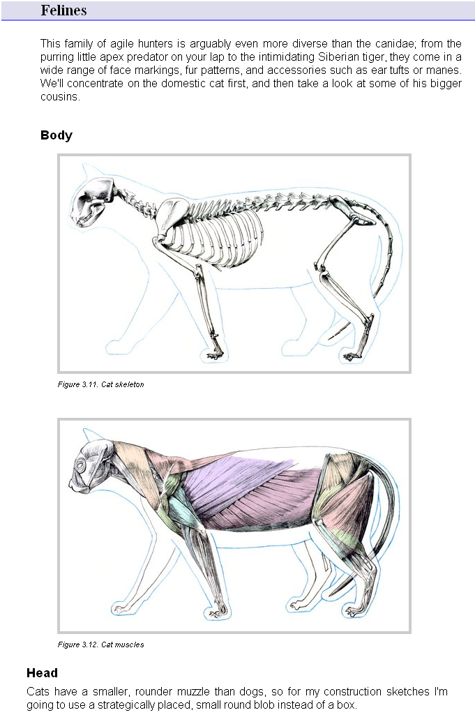 Ychan - r - anthro tutorials - 190058