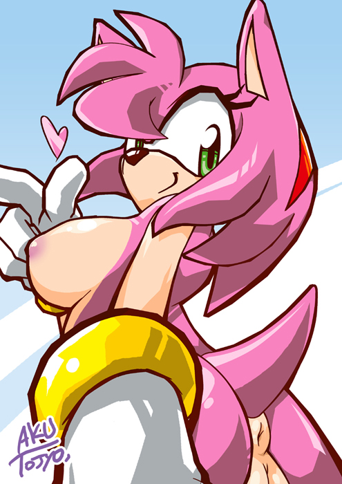 Ychan - r - amy rose - 19325