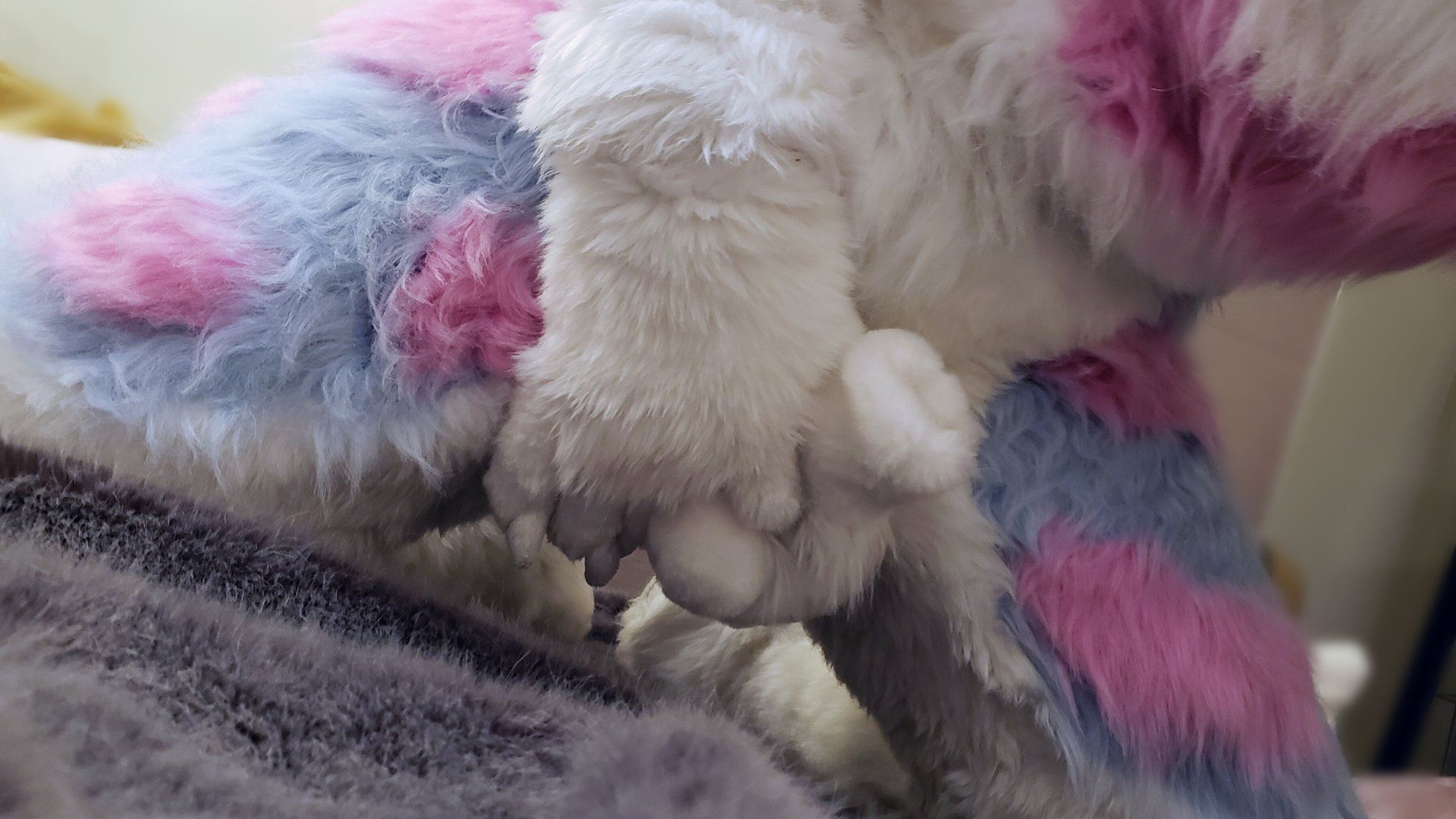 Ychan - rl - random fursuits - 195113