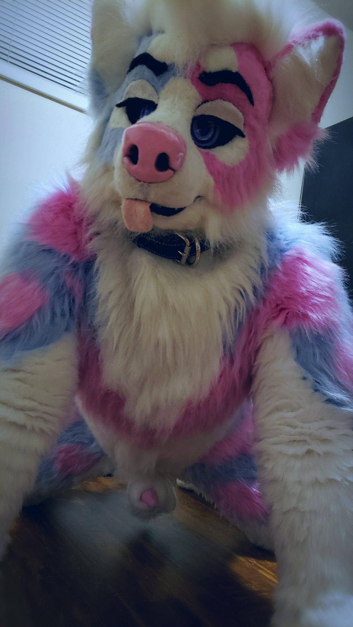 Ychan - rl - random fursuits - 195116
