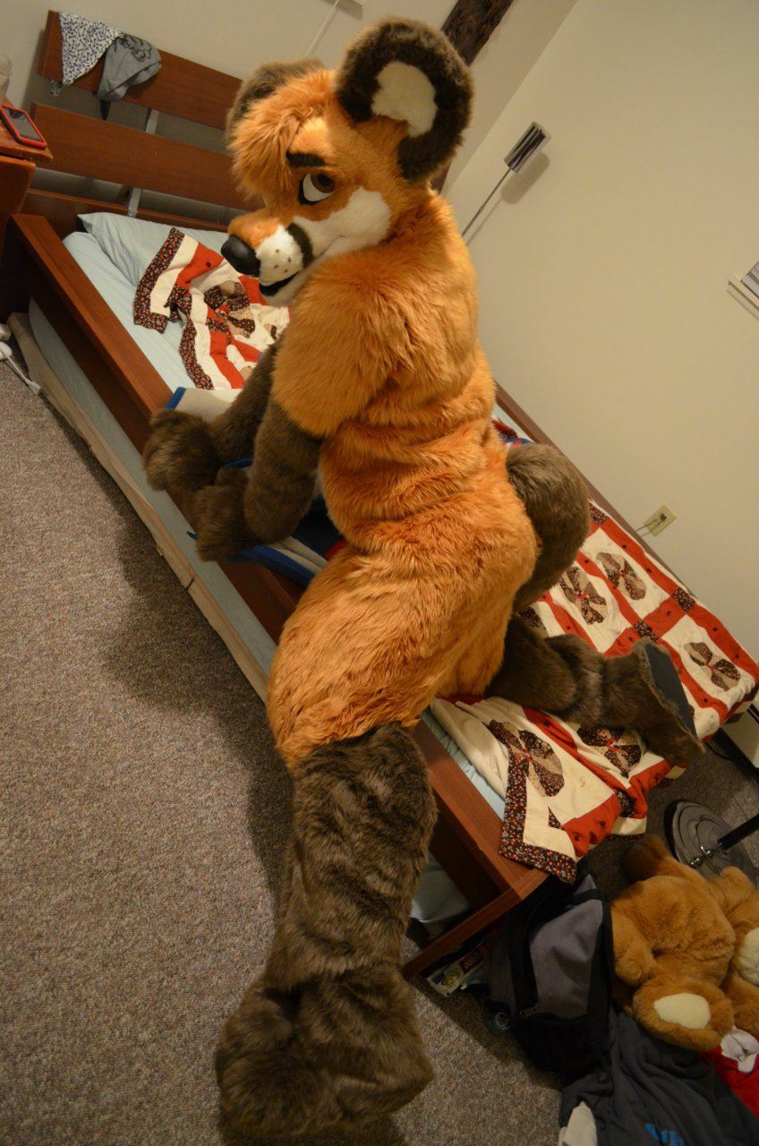 Ychan - rl - random fursuits - 195118