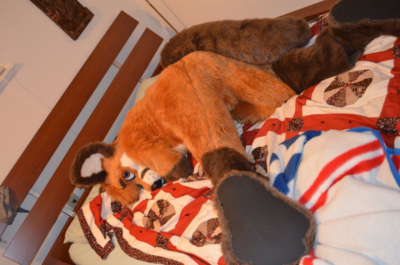 Ychan - rl - random fursuits - 195119