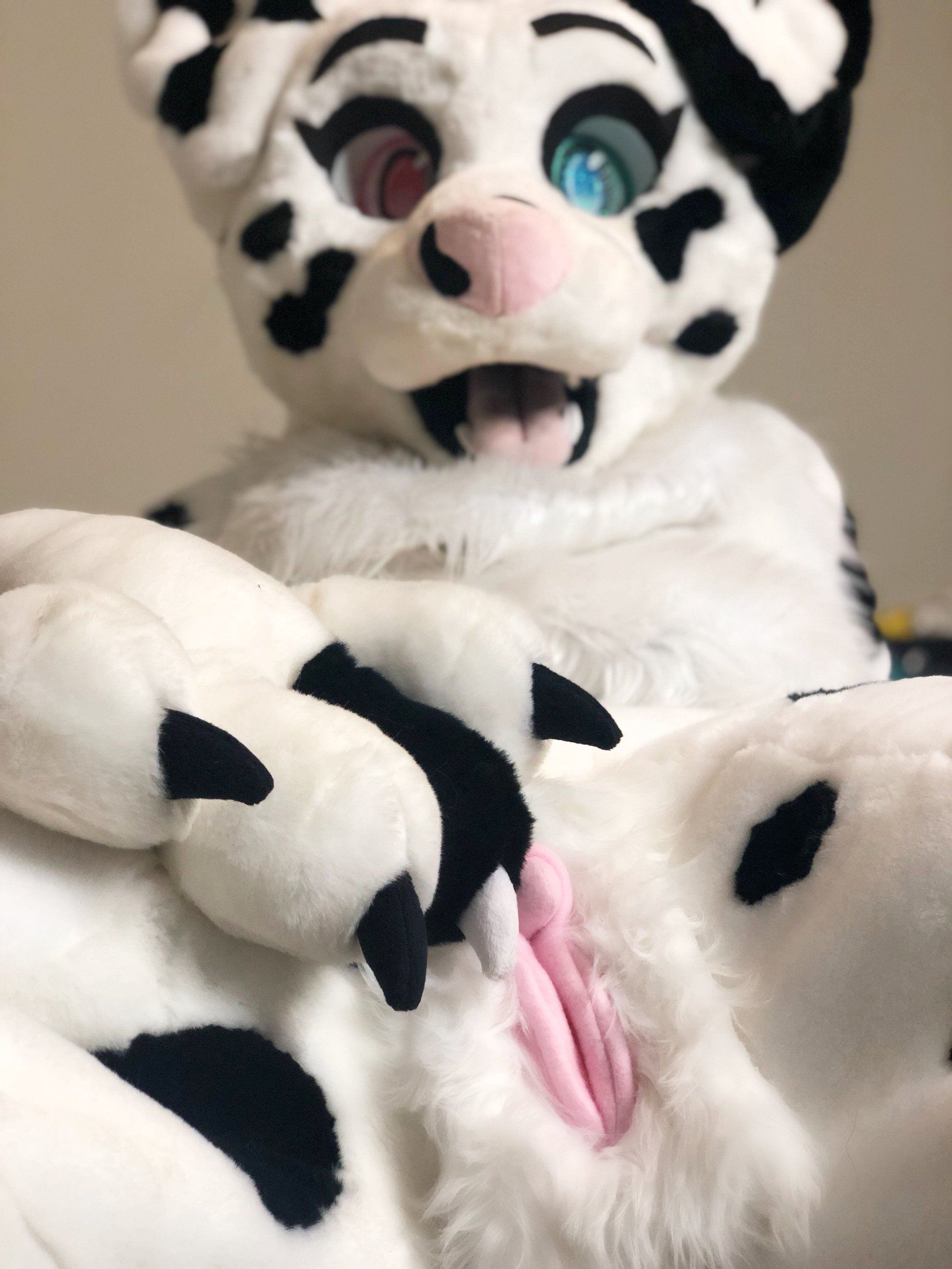Ychan - rl - random fursuits - 195121