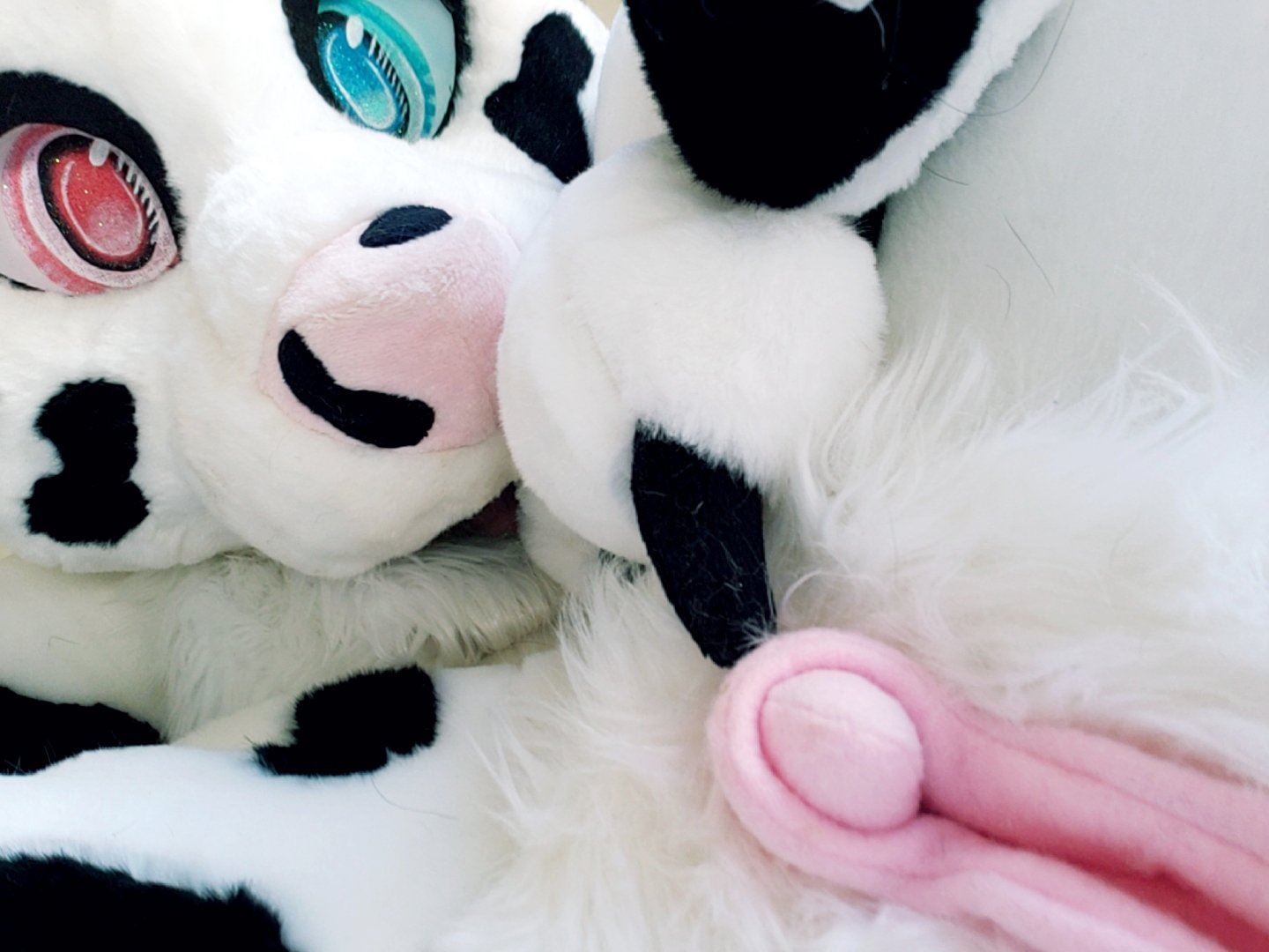 Ychan - rl - random fursuits - 195122
