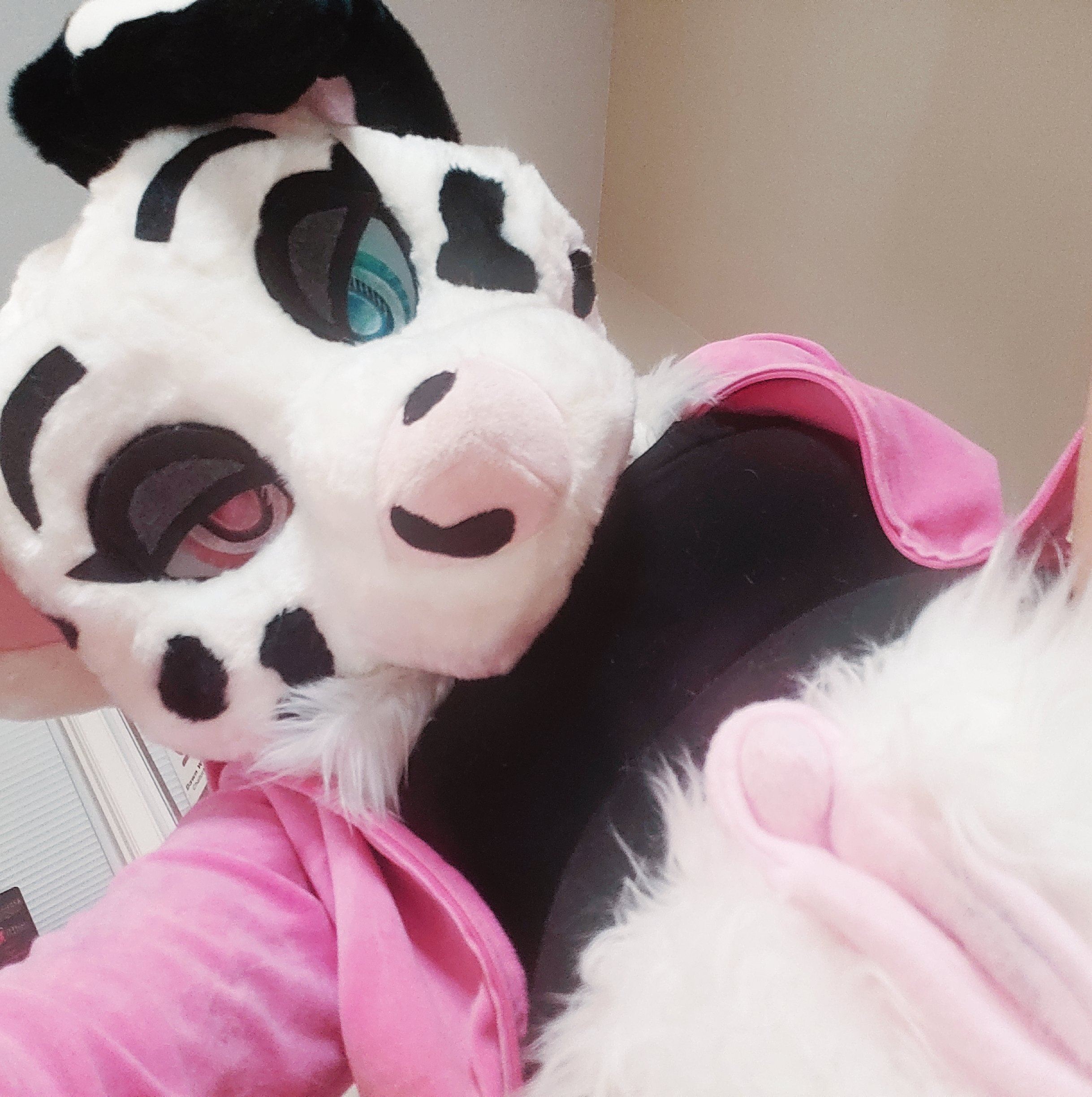 Ychan - rl - random fursuits - 195125