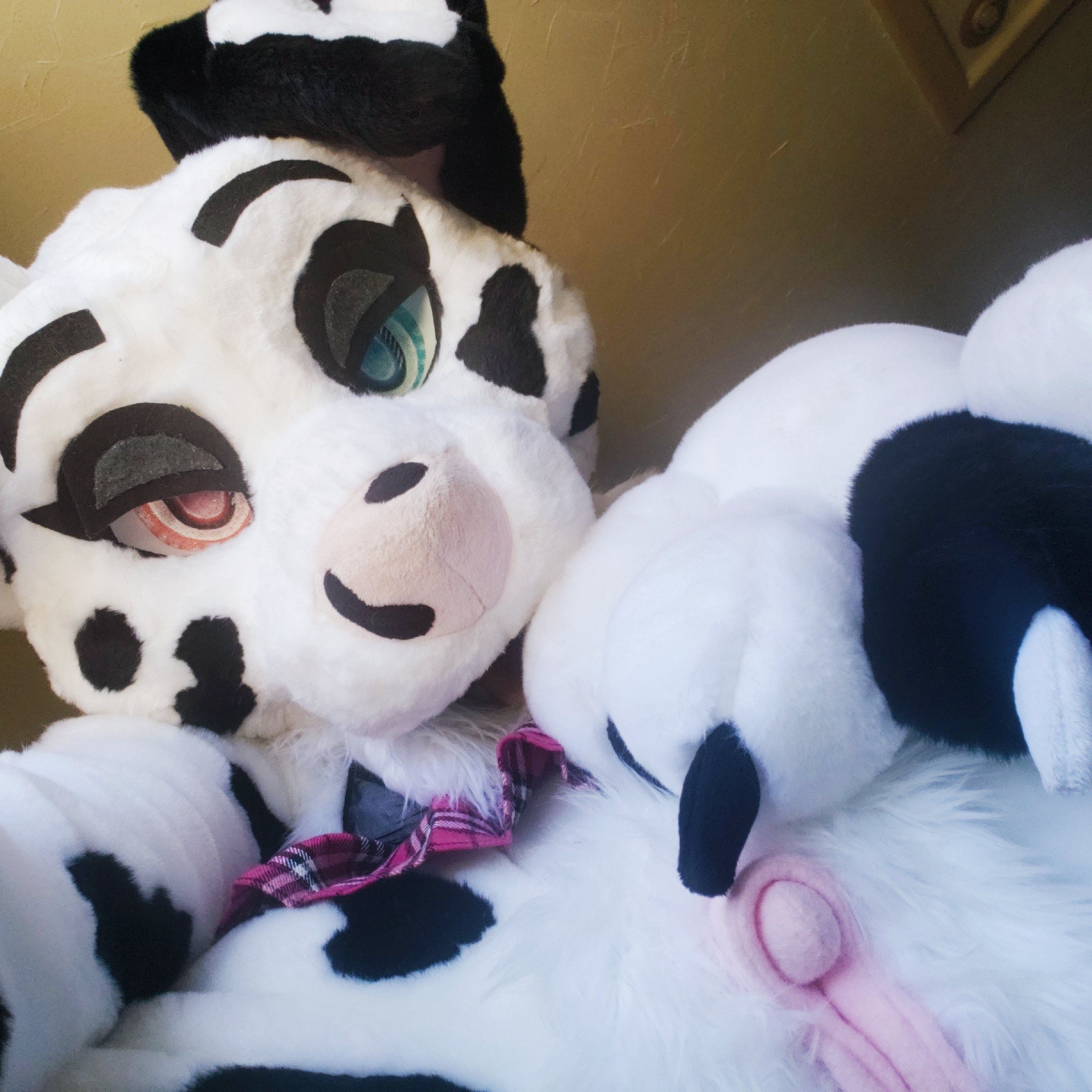 Ychan - rl - random fursuits - 195130