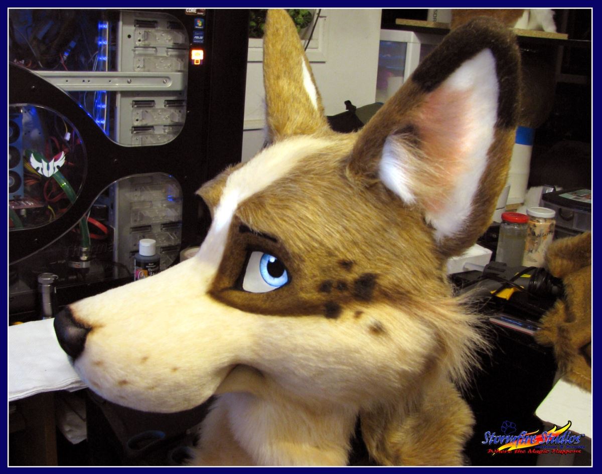 Ychan - rl - random fursuits - 195135