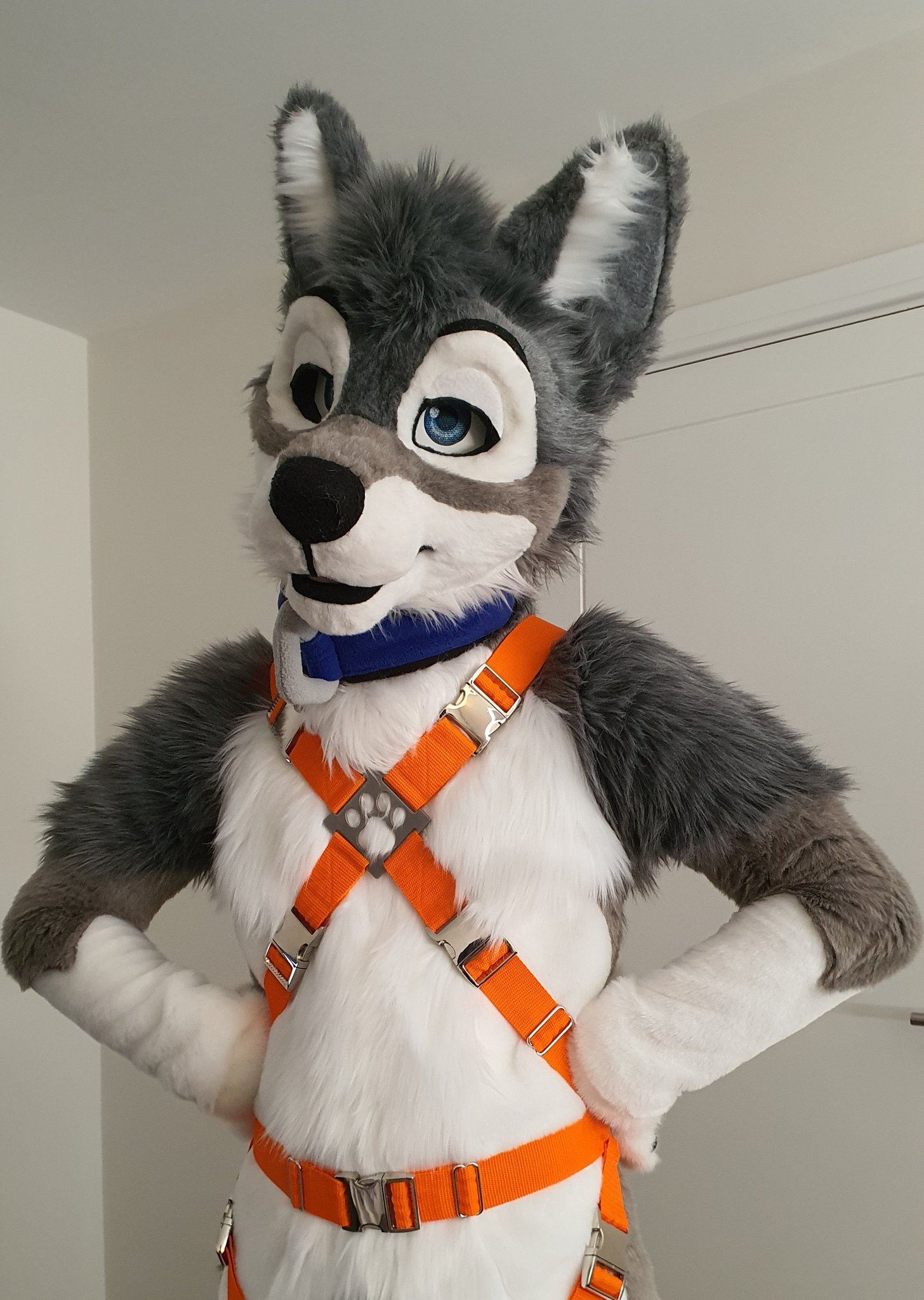 Ychan - rl - random fursuits - 195140
