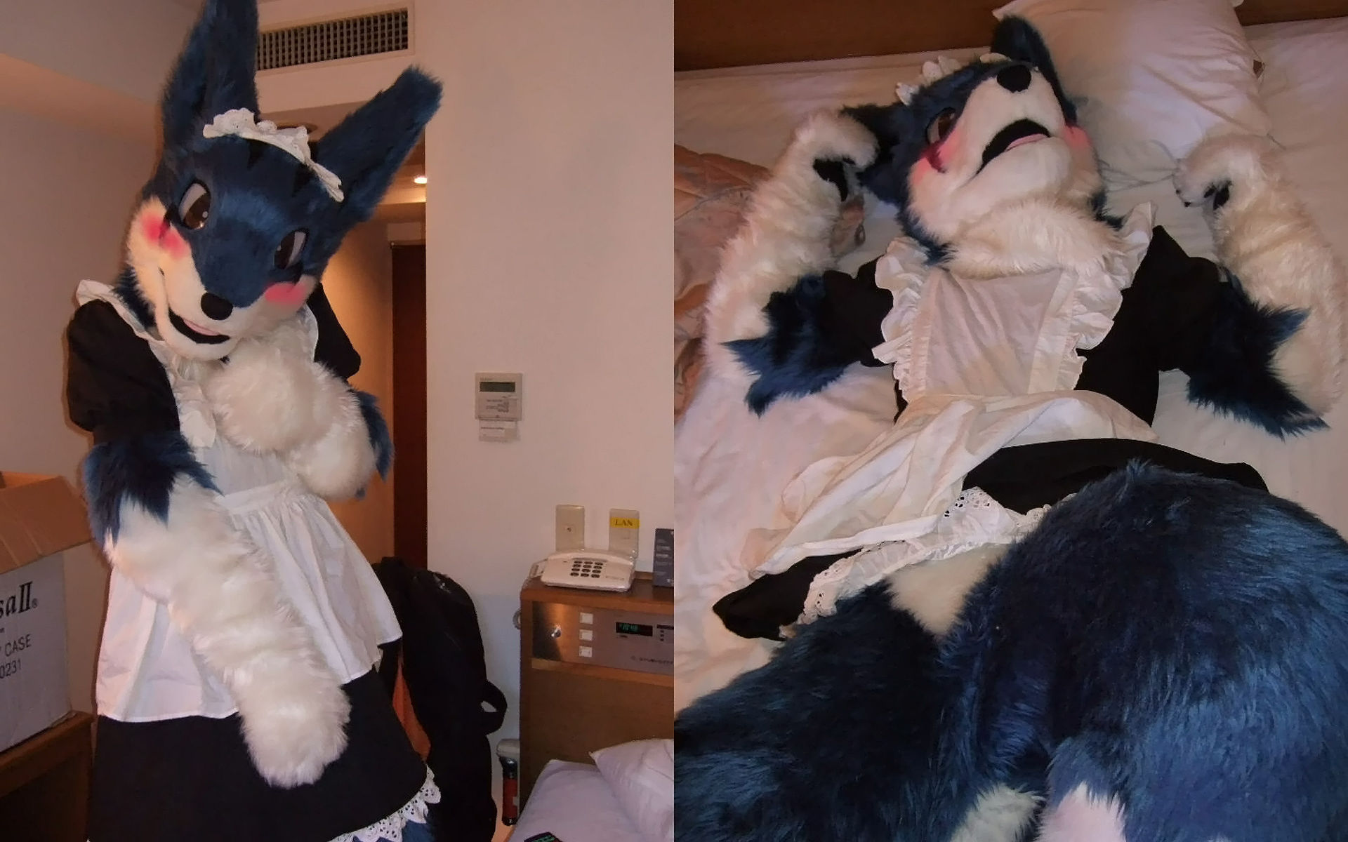 Ychan - rl - random fursuits - 195148