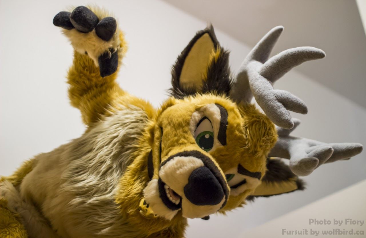 Ychan - rl - random fursuits - 195149