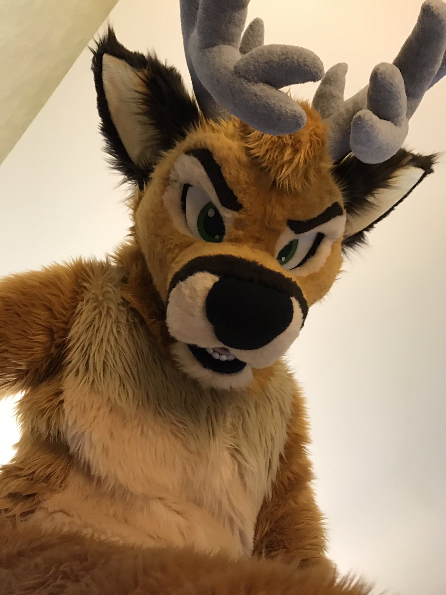 Ychan - rl - random fursuits - 195150