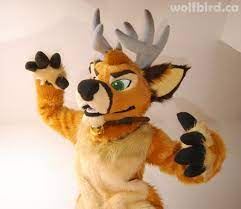 Ychan - rl - random fursuits - 195151