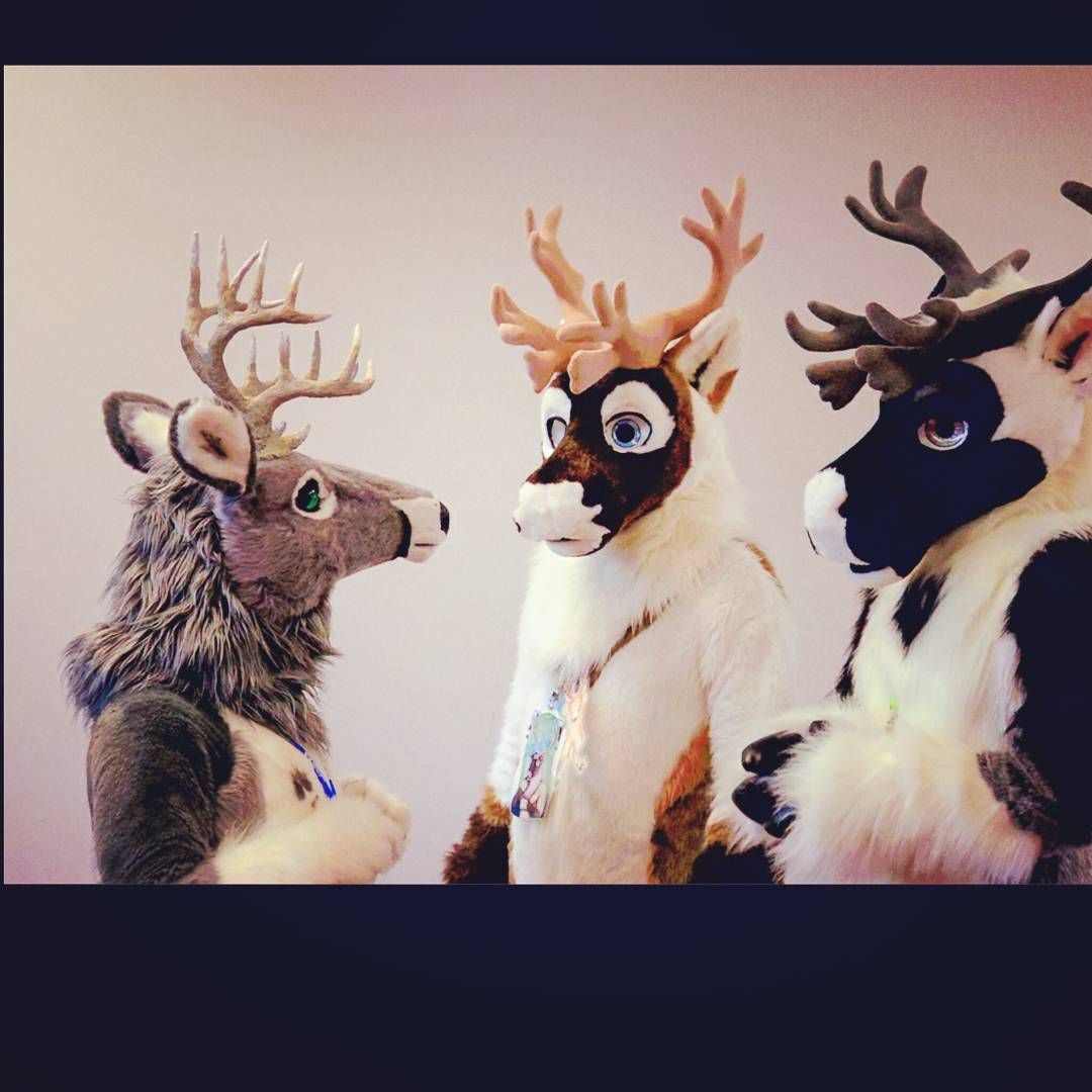Ychan - rl - random fursuits - 195154