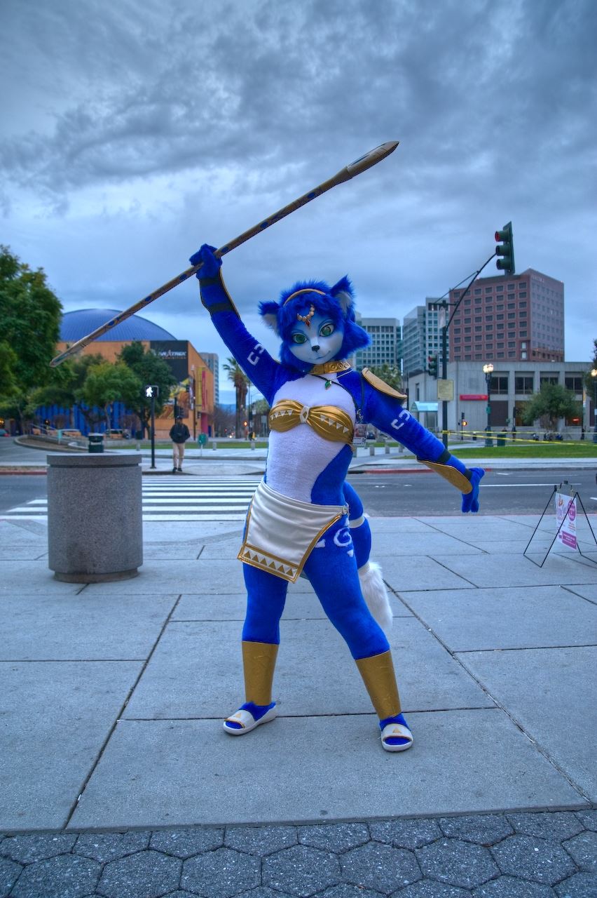 Ychan - rl - random fursuits - 195167