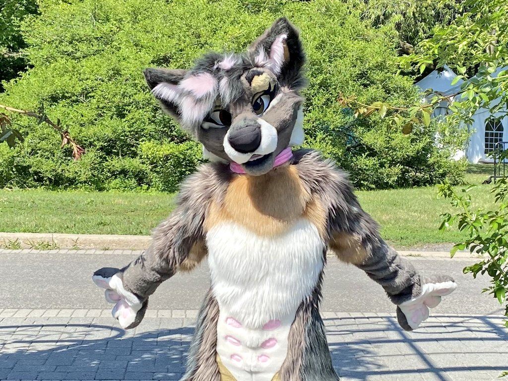 Ychan - rl - random fursuits - 195175
