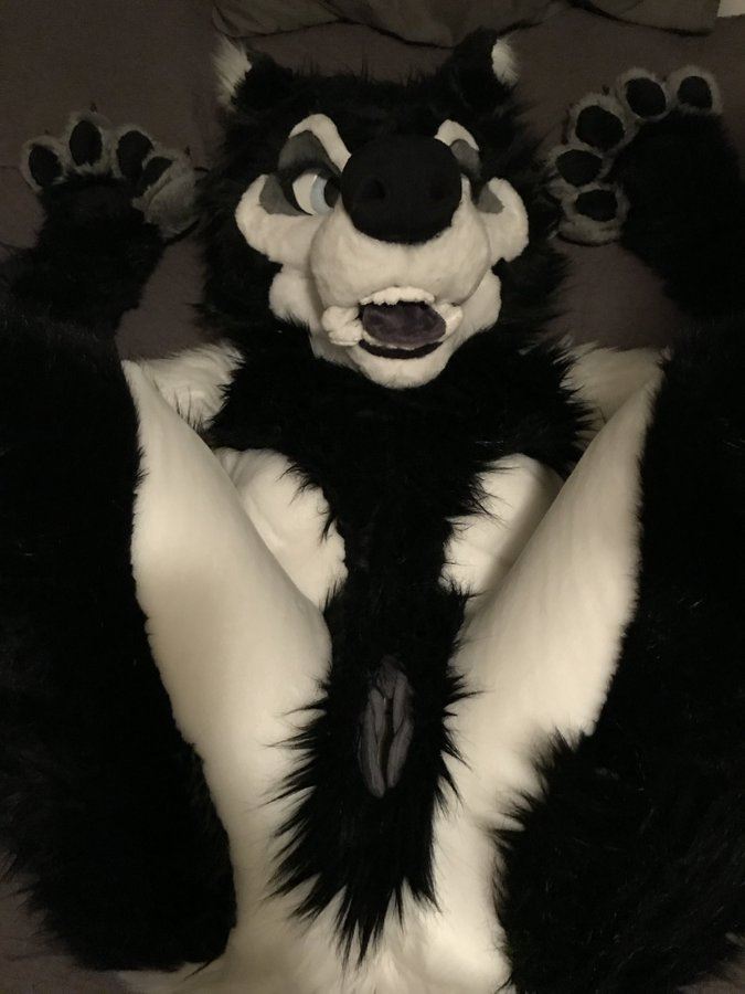 Ychan - rl - random fursuits - 195213