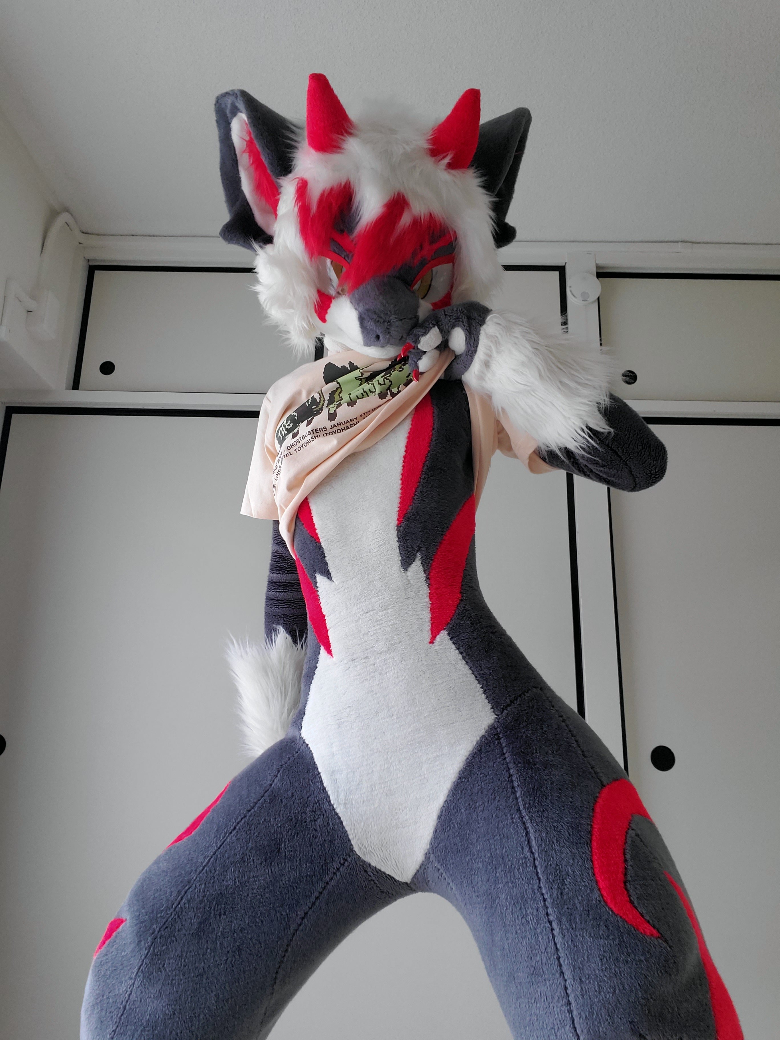 Ychan - rl - random fursuits - 197227