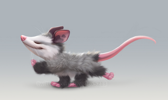 Ychan - f - opossum - 197231