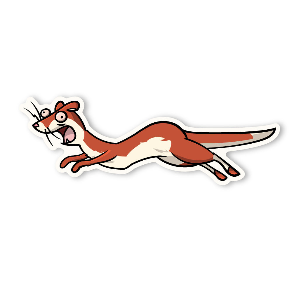 Ychan - m - ferrets-weasels males   i need - 199318