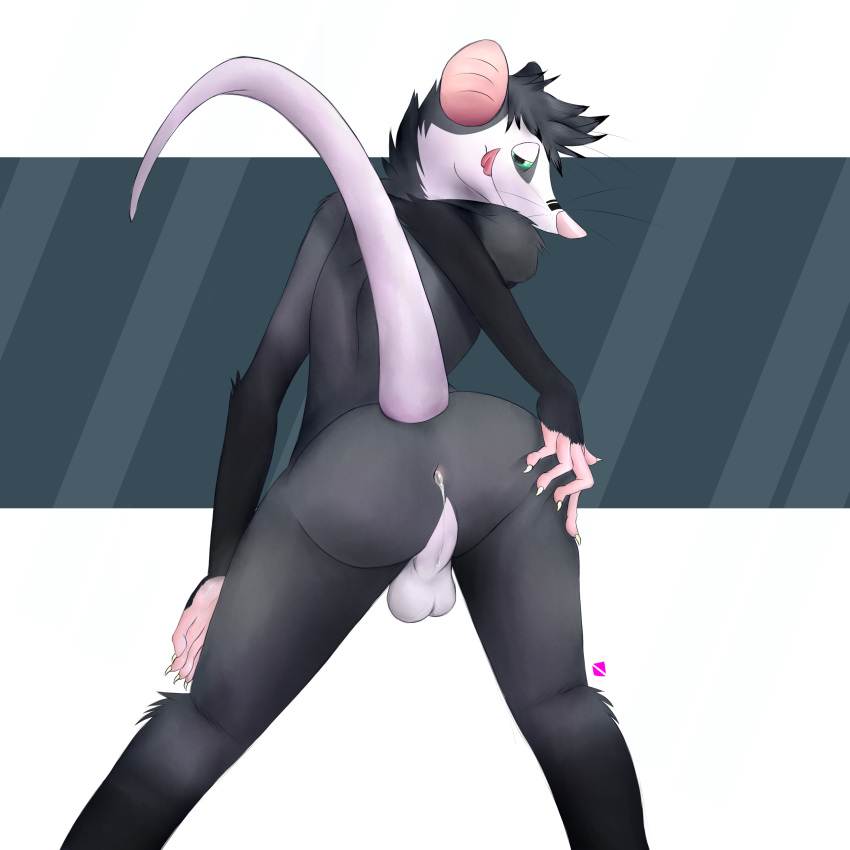 Ychan - f - opossum - 199900