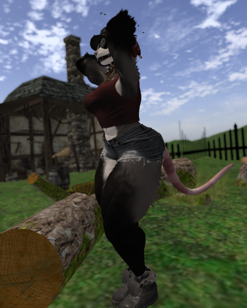Ychan - f - opossum - 200547