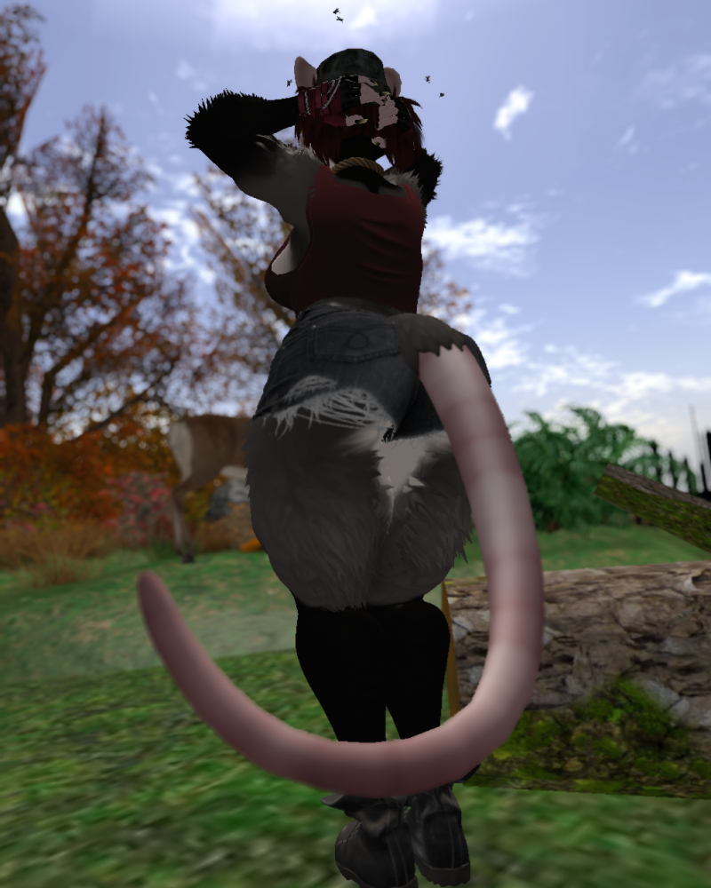 Ychan - f - opossum - 200548
