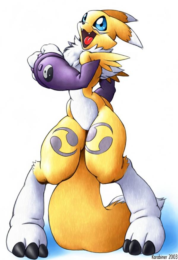 Ychan - f - renamon - 20291