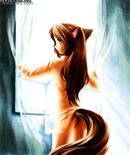 Ychan - f - nekos nekos and more nekos - 20862