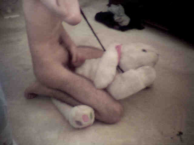Ychan - rl - bunny plush - 22180