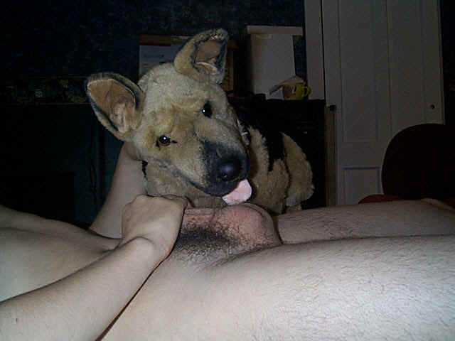 Ychan - rl - german sheppard plushie - 22296