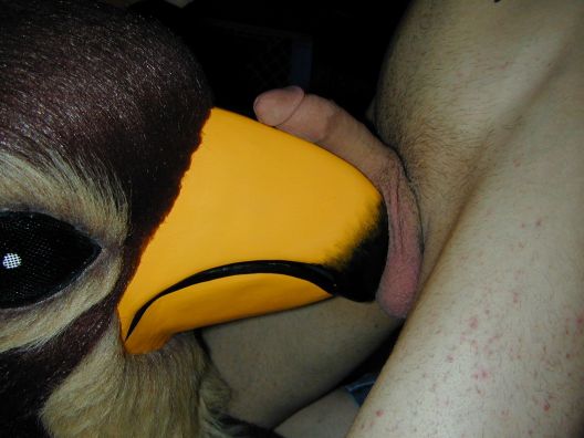 Ychan - rl - avian fursuit yiff - 22766