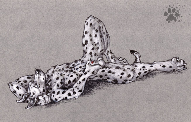 Ychan - m - dalmation dudes - 24086