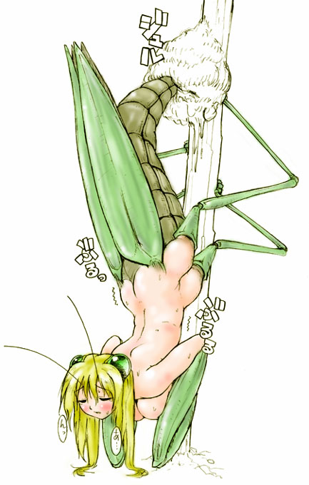 Ychan - r - insects are here for the first time - 24235