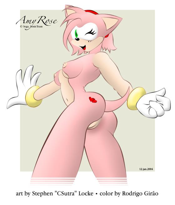 Ychan - r - amy rose - 24789