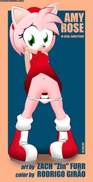 Ychan - r - amy rose - 24828