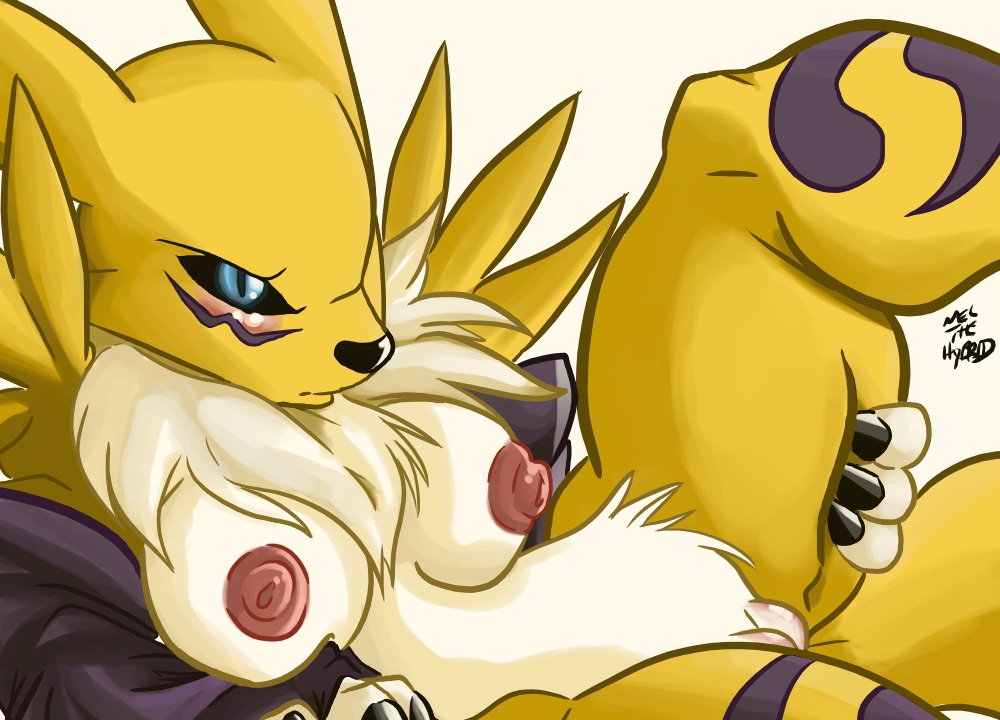 Ychan - f - renamon - 25520