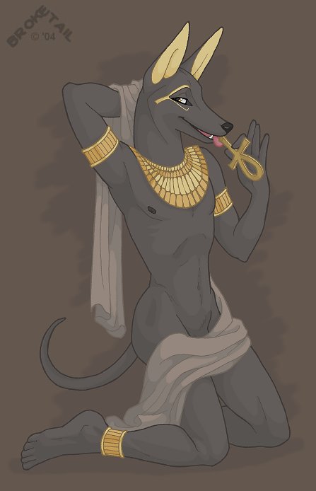 Ychan - c - anubis - 26977