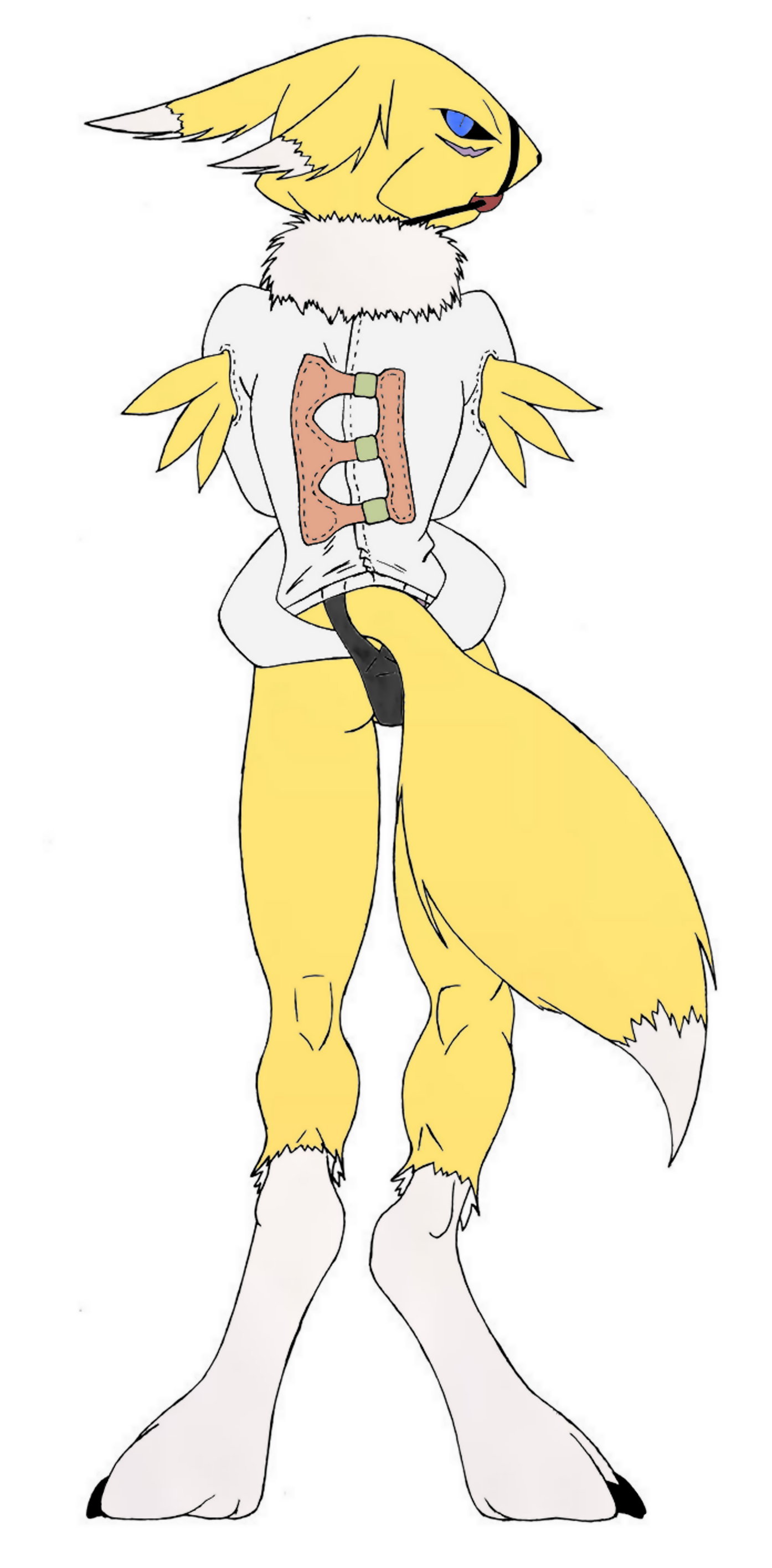 Ychan - f - renamon - 27127