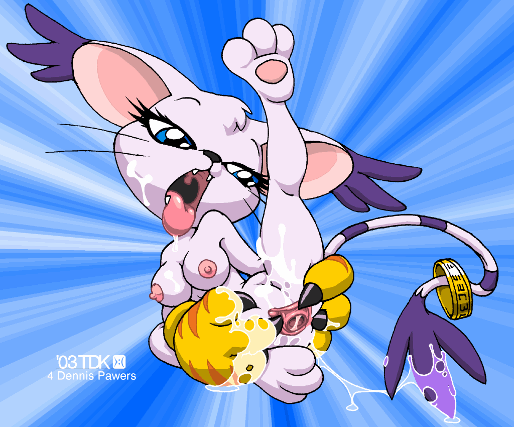 Ychan - f - gatomon - 27295