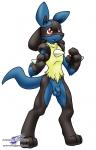 Ychan - r - make lucario happy~ - 27738