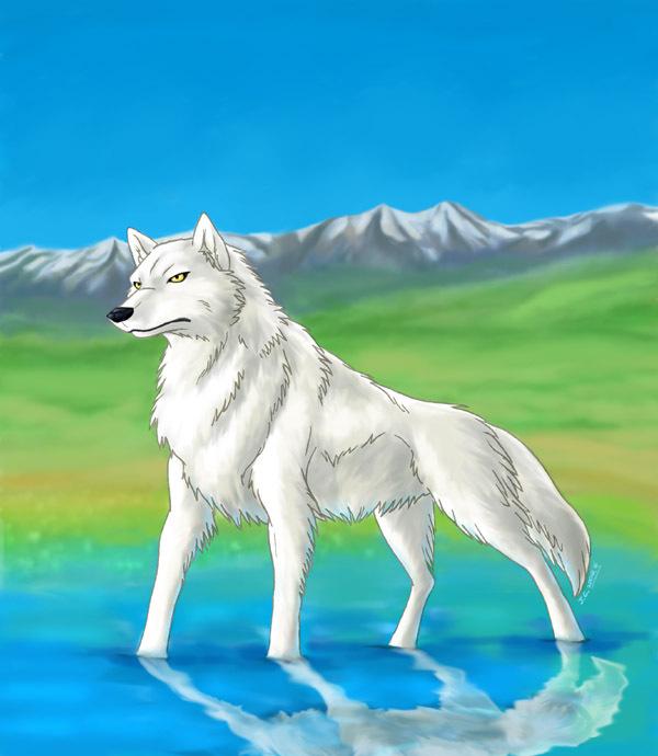 Ychan - c - white wolf (clean please) - 29724