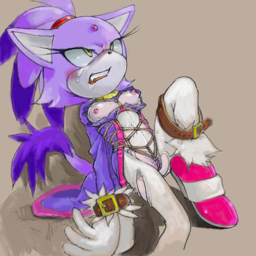 Ychan - r - sonic furrys - 31524