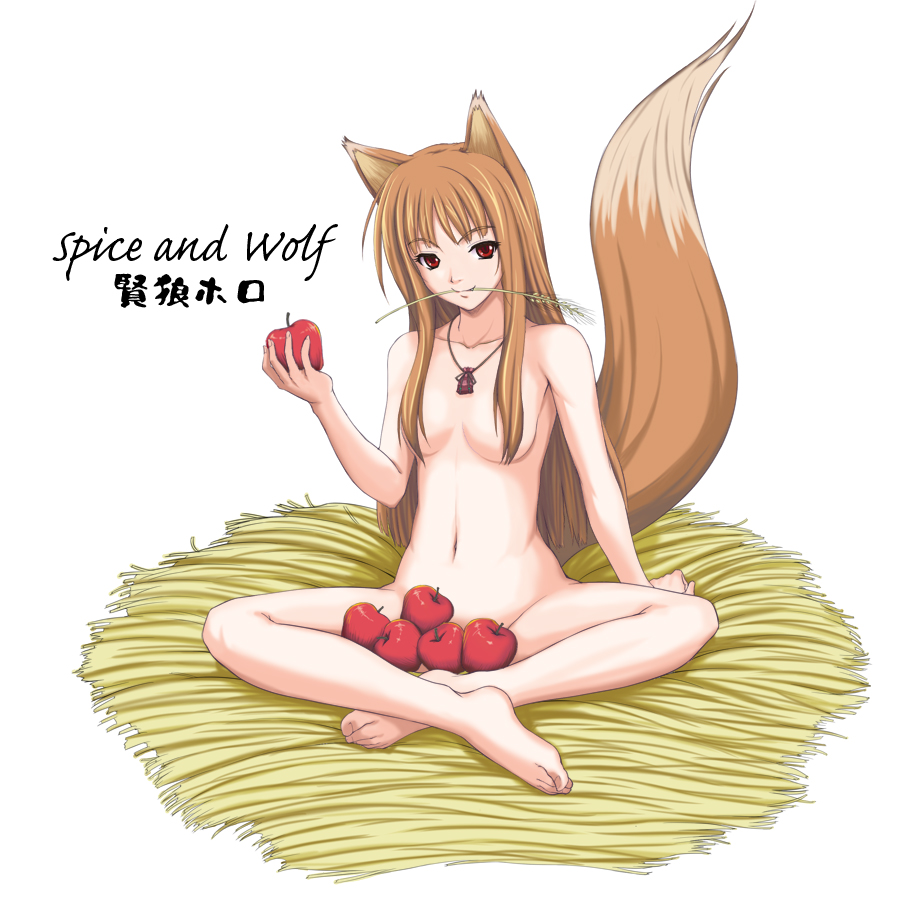 Ychan - f - horo the wolf - 31824