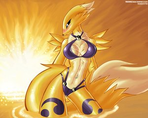 Ychan - f - renamon - 36158