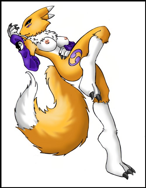 Ychan - f - renamon - 36806