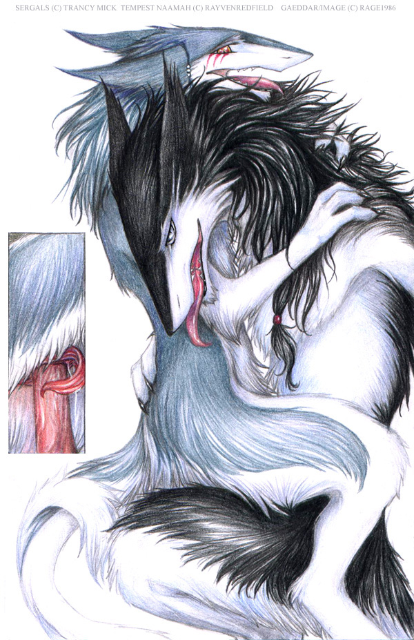 Ychan - r - sergals - 37070