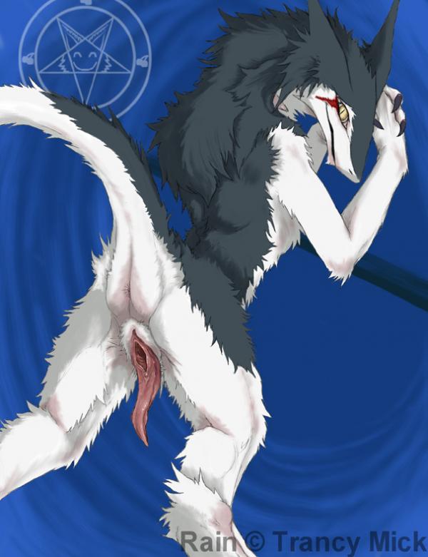 Ychan - r - sergals - 37165