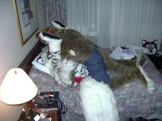 Ychan - r - real fursuit sex - 37546