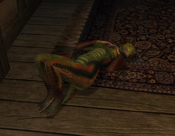 Ychan - f - oblivion furries - khajiit and argonian screenies-art - 38545